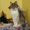 Отзыв от Эльмира Рожкова
